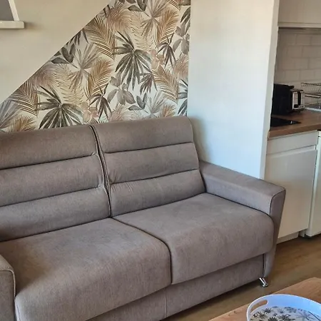 Duplex Renove, Piscine, Clim, Centre Port